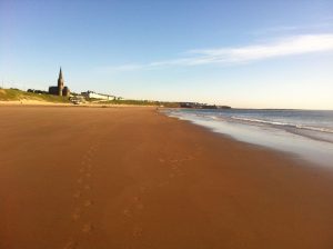 Lou Laggan Coaching and Development, Mindfulness, Therapy, NLP, Change, Meditation Business coaching, Life Coaching, north tyneside, whitley bay, north shields North East
