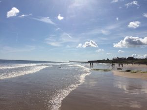 Mindfulness and Life Coaching in Cullercoats, Lou Laggan