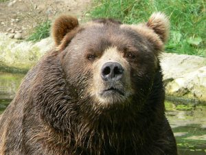 GRumpiness, Grumpy, NE Life Coach, Life Coaching, North East, Tynemouth, North Shields, Cullercoats, Whitley Bay, Negative thoughts, depression, anxiety, goals, personal development, nlp, mindfulness, change, belief, self-esteem, self-belief, self-confidence,