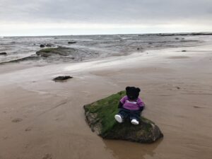 NE Life Coach, NE, Life Coaching, Business Coaching, Change, Anxiety, Depression, Stress, negative thoughts, self-limiting beliefs, inner-critic, inner-cheerleader, North East, North Tyneside, Newcastle upon Tyne, Newcastle, Whitley Bay, Tynemouth, North Shields, Cullercoats, Tyne and Wear, mindfulness, hypnotherapy, life change, NLP, Business coaching, goals, success, performance, panic, belief, self-belief, self-confidence, presentations, sales, Sydney, Spain, Melbourne, Australia, Europe, International, world, living, life, BearWisdom, NEFollowers, Perfectionism, Fear, Failure, resilience, mindset, stress, self-belief, self-confidence, transformation, high performance,